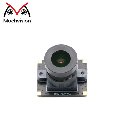 Sony IMX 323 2 MP MIPAC Camera Module مع عدسة FISHEYE اختيارية 180 درجة